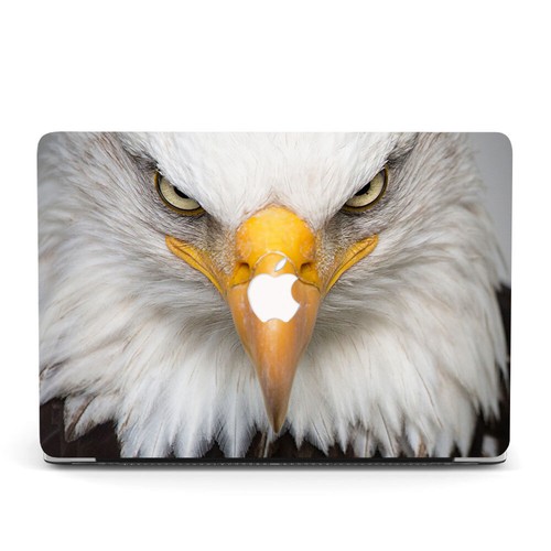 Cover rigida animali - , aquila